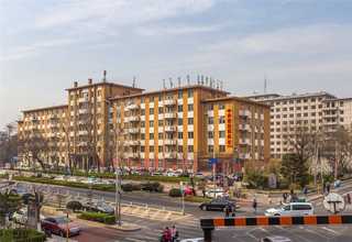 宁波好质量蜂窝托盘生厂商