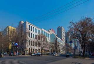 广西猫屎咖啡豆